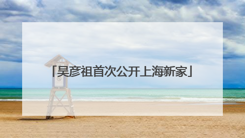吴彦祖首次公开上海新家