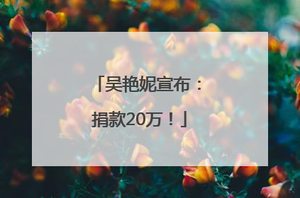 吴艳妮宣布：捐款20万！