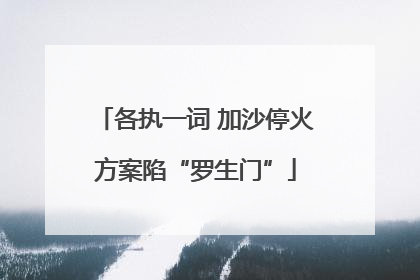 各执一词 加沙停火方案陷“罗生门”