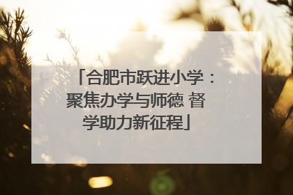 合肥市跃进小学：聚焦办学与师德 督学助力新征程