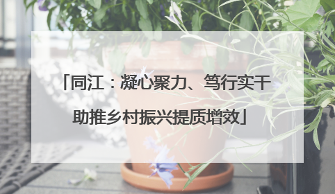 同江：凝心聚力、笃行实干 助推乡村振兴提质增效