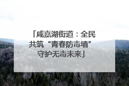 咸嘉湖街道：全民共筑“青春防毒墙” 守护无毒未来
