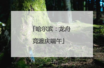 哈尔滨：龙舟竞渡庆端午