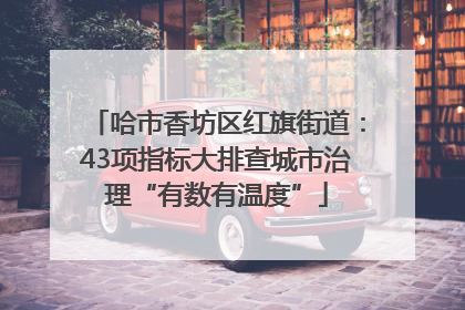 哈市香坊区红旗街道：43项指标大排查城市治理“有数有温度”