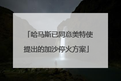 哈马斯已同意美特使提出的加沙停火方案