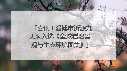 喜讯！淄博市沂源九天洞入选《全球岩溶景观与生态环境图集》