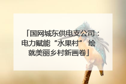 国网城东供电支公司：电力赋能“水果村” 绘就美丽乡村新画卷