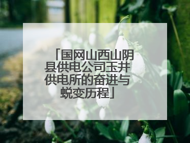 国网山西山阴县供电公司玉井供电所的奋进与蜕变历程