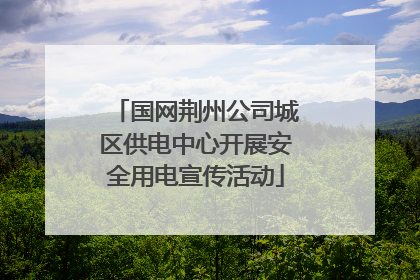 国网荆州公司城区供电中心开展安全用电宣传活动