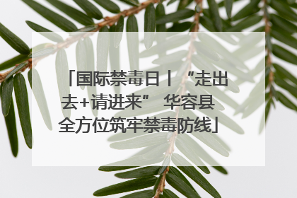 国际禁毒日丨“走出去+请进来” 华容县全方位筑牢禁毒防线