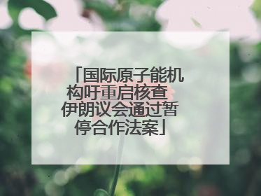 国际原子能机构吁重启核查 伊朗议会通过暂停合作法案