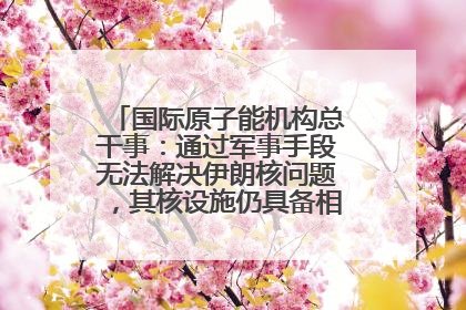 国际原子能机构总干事：通过军事手段无法解决伊朗核问题，其核设施仍具备相关产能，只需要数月就能生产出浓缩铀