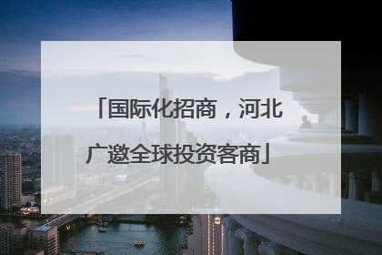 国际化招商，河北广邀全球投资客商