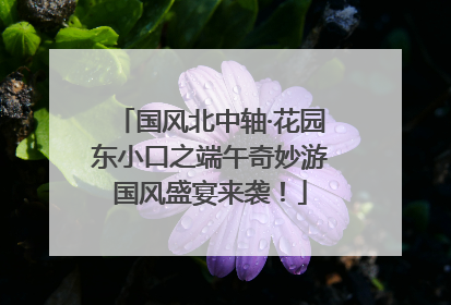 国风北中轴·花园东小口之端午奇妙游国风盛宴来袭！