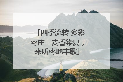 四季流转 多彩枣庄｜麦香染夏，来听枣地丰歌