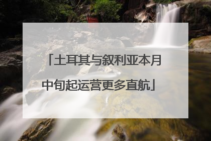 土耳其与叙利亚本月中旬起运营更多直航