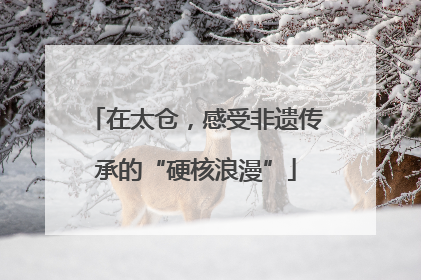 在太仓，感受非遗传承的“硬核浪漫”
