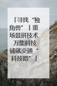 寻找“独角兽”丨重场景拼技术 万集科技铺就交通“科技路”