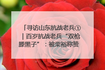 寻访山东抗战老兵①｜百岁抗战老兵“双枪滕黑子”：被粟裕称赞的“孤胆英雄”