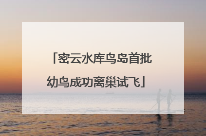 密云水库鸟岛首批幼鸟成功离巢试飞