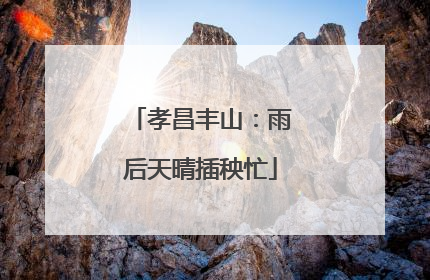 孝昌丰山：雨后天晴插秧忙