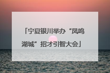 宁夏银川举办“凤鸣湖城”招才引智大会