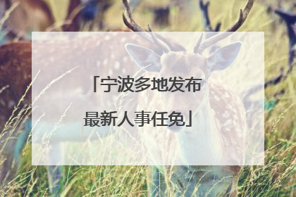 宁波多地发布最新人事任免