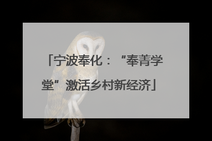 宁波奉化：“奉菁学堂”激活乡村新经济