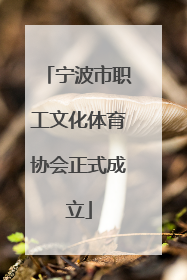 宁波市职工文化体育协会正式成立