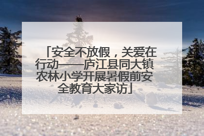 安全不放假，关爱在行动——庐江县同大镇农林小学开展暑假前安全教育大家访