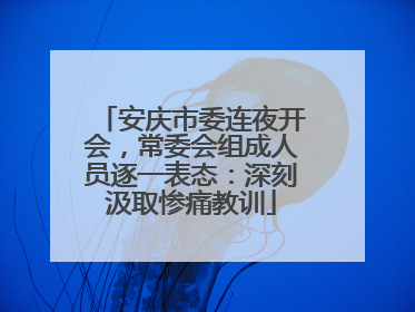安庆市委连夜开会，常委会组成人员逐一表态：深刻汲取惨痛教训