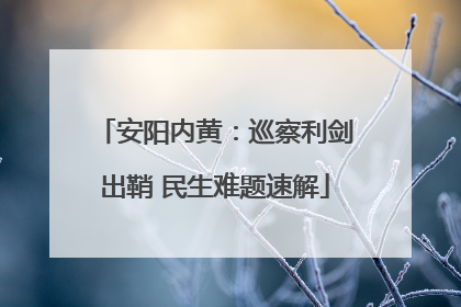 安阳内黄：巡察利剑出鞘 民生难题速解