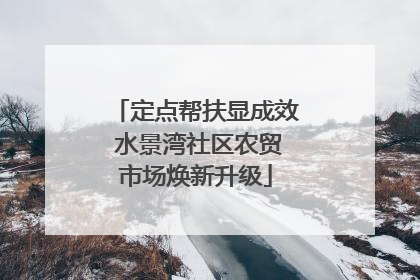 定点帮扶显成效 水景湾社区农贸市场焕新升级