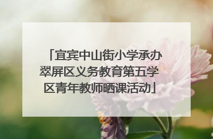 宜宾中山街小学承办翠屏区义务教育第五学区青年教师晒课活动