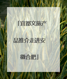 宜都文旅产品推介走进安徽合肥