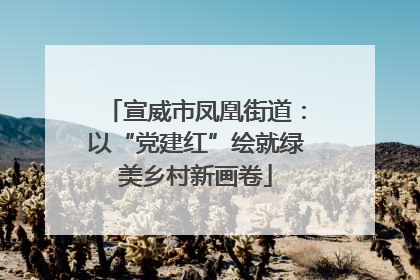 宣威市凤凰街道：以“党建红”绘就绿美乡村新画卷