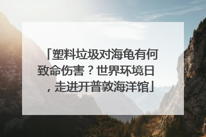 塑料垃圾对海龟有何致命伤害？世界环境日，走进开普敦海洋馆
