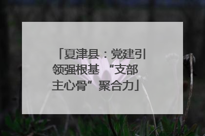 夏津县：党建引领强根基 “支部主心骨”聚合力