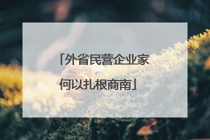 外省民营企业家何以扎根商南