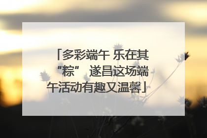 多彩端午 乐在其“粽” 遂昌这场端午活动有趣又温馨