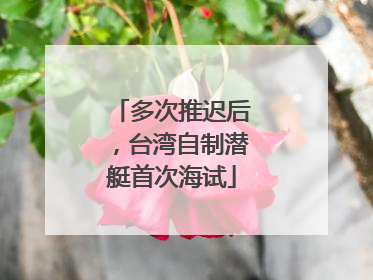 多次推迟后，台湾自制潜艇首次海试