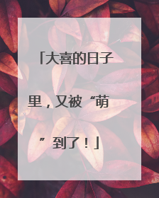 大喜的日子里，又被“萌”到了！