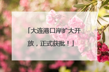 大连港口岸扩大开放，正式获批！