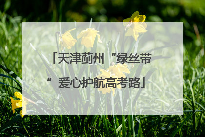 天津蓟州“绿丝带”爱心护航高考路