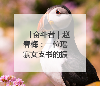 奋斗者｜赵春梅：一位瑶寨女支书的振兴三部曲
