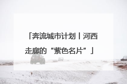 奔流城市计划丨河西走廊的“紫色名片”
