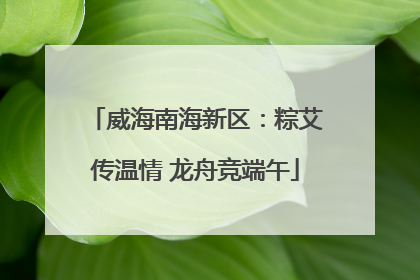 威海南海新区：粽艾传温情 龙舟竞端午