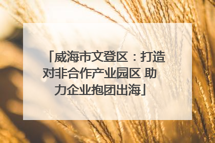 威海市文登区：打造对非合作产业园区 助力企业抱团出海