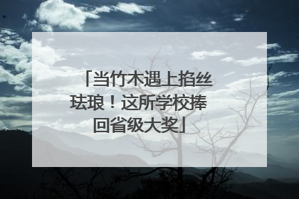 当竹木遇上掐丝珐琅！这所学校捧回省级大奖