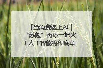 当消费遇上AI｜“苏超”再添一把火！人工智能将彻底颠覆绿茵场？
